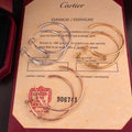 Cartier Clou Élancé Mini Hoop Earrings