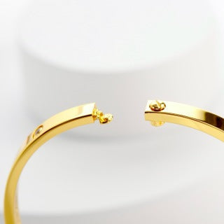 Cartier Love Élan Slim Screw Bangle