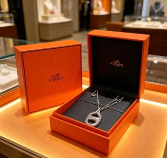 Hermès Ornate Oval Medallion Chain Necklace